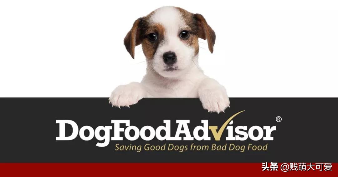 5款热门狗粮推荐避免踩雷,国外性价比狗粮推荐