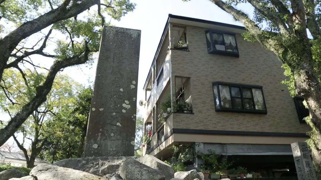 枪炮与玫瑰——明治维新以来的日军军国主义之路