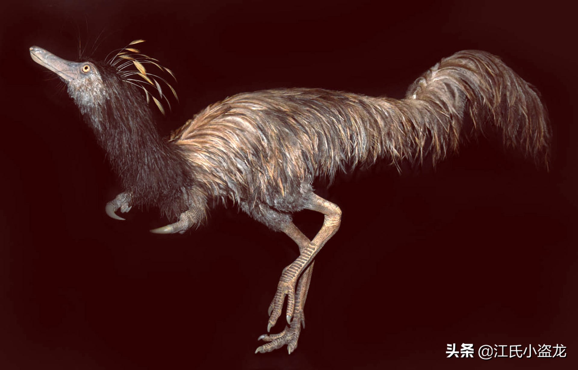 古生物时代有多少种恐龙,人类已经发现了多少恐龙种类