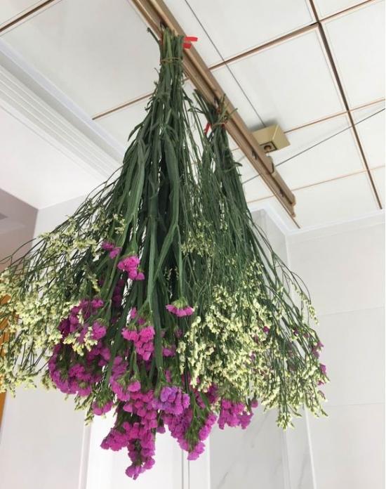 什么花都适用的制干花方法,哪些花卉做干花效果最好