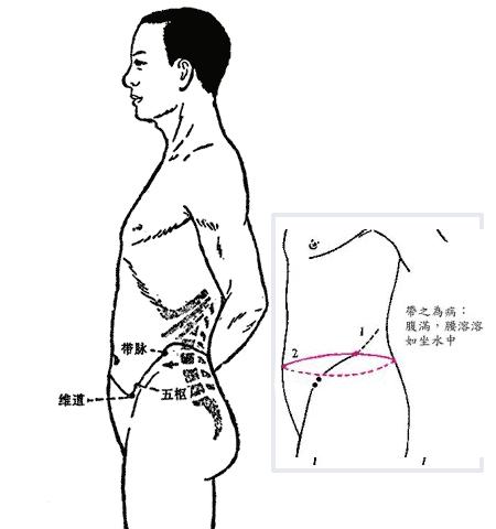 中医如何辨证肥胖,中医减肥怎样判断肥胖类型