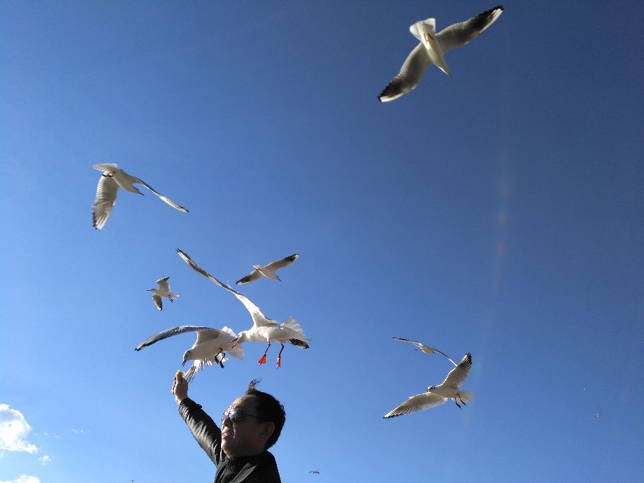 经典的自驾游七日游,66岁老人自驾游最新视频