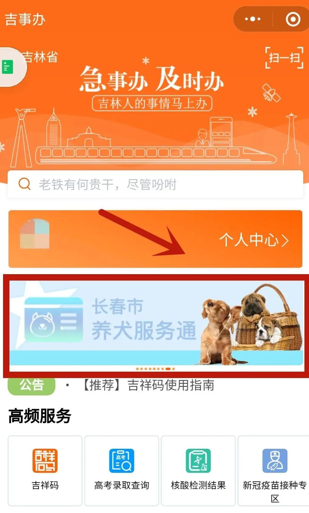吉事办狗证电子版查询,吉事办办狗证
