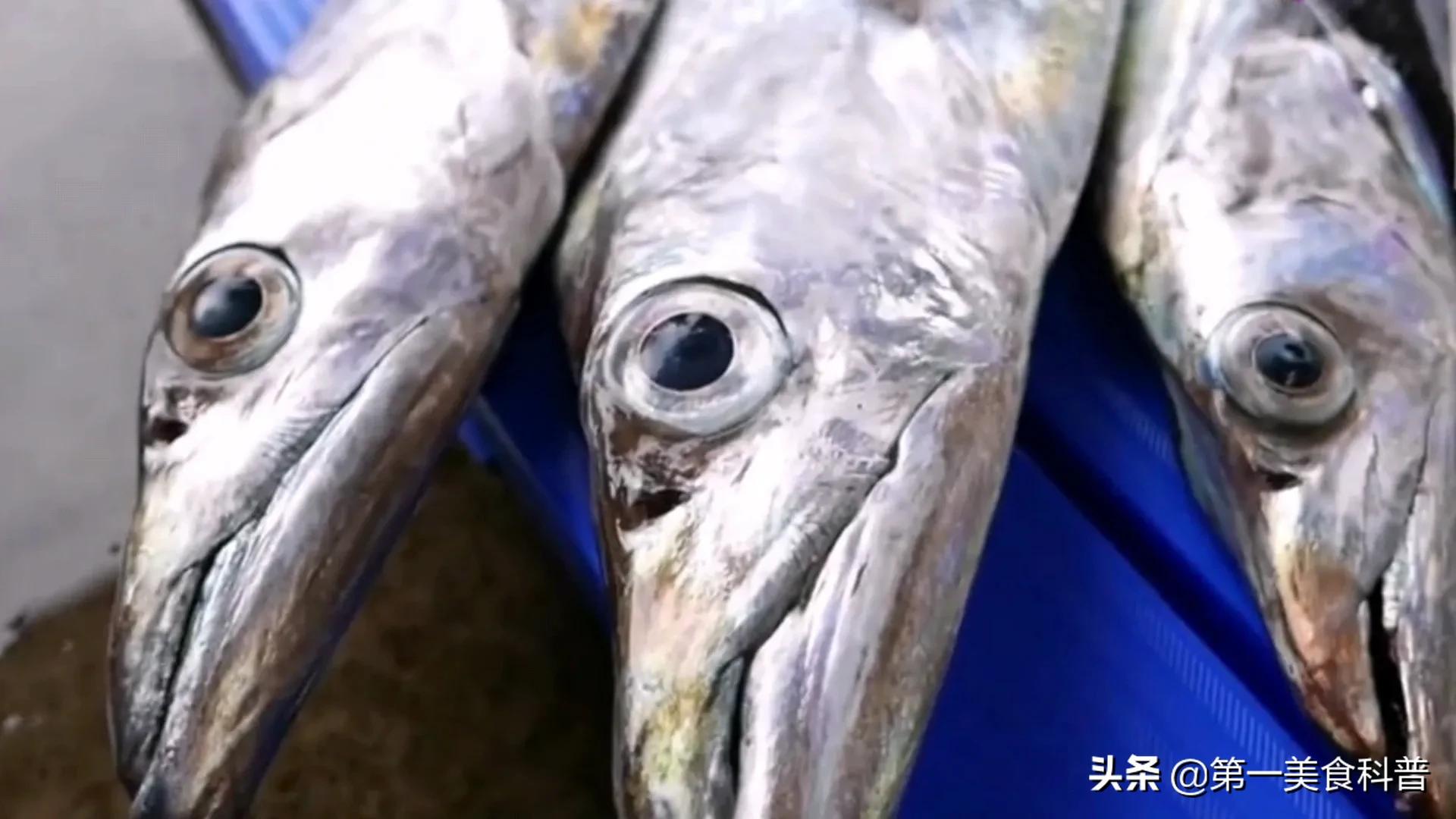 买带鱼记得要分清黑眼睛和黄眼睛,买带鱼黄眼睛和黑眼睛哪种好