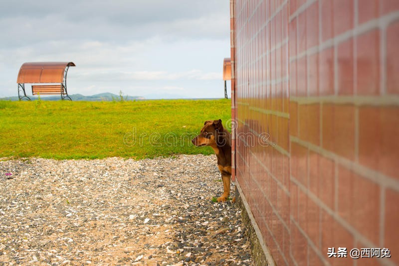 十二星座谁能读懂摩羯座,十二星座对摩羯座的看法