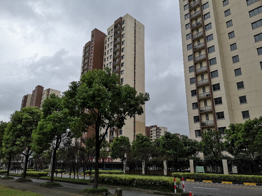 上海临港新片区万祥东来建设,临港新片区万祥