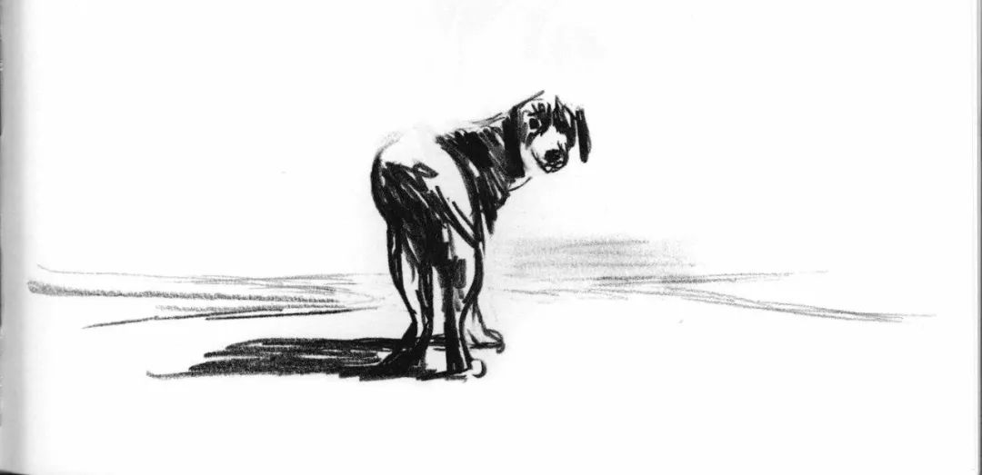 瞧这个狗搞笑视频,你瞧这条狗原版视频