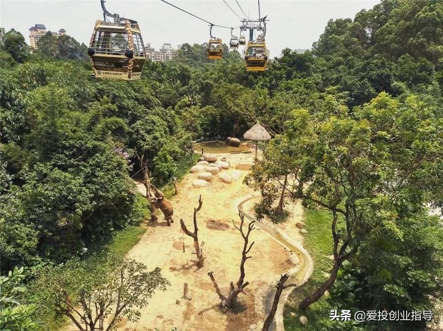 贝窝：与你“童”行丨来长隆，一起撒欢，一起找回儿时欢乐