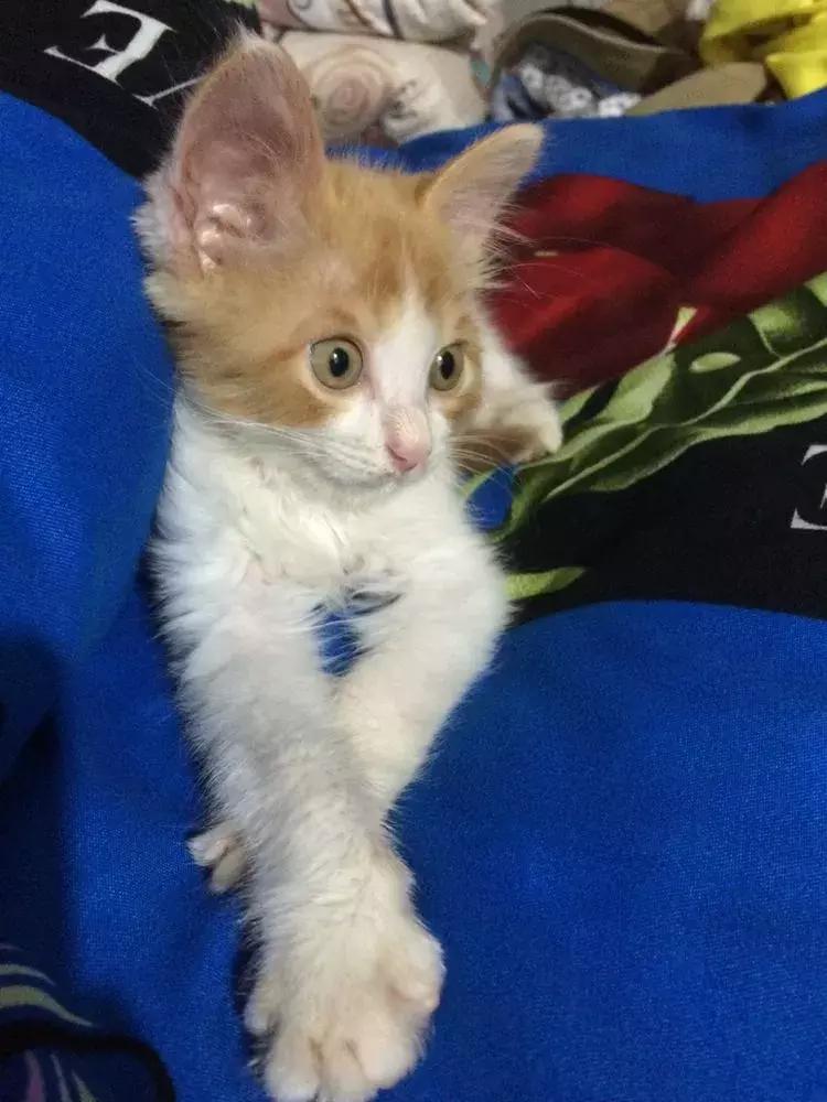 真实的特岗教师生活,任明杰特岗教师生活记录