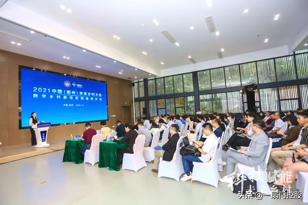 打造数字乡村的经验启示,如何打造数字乡村