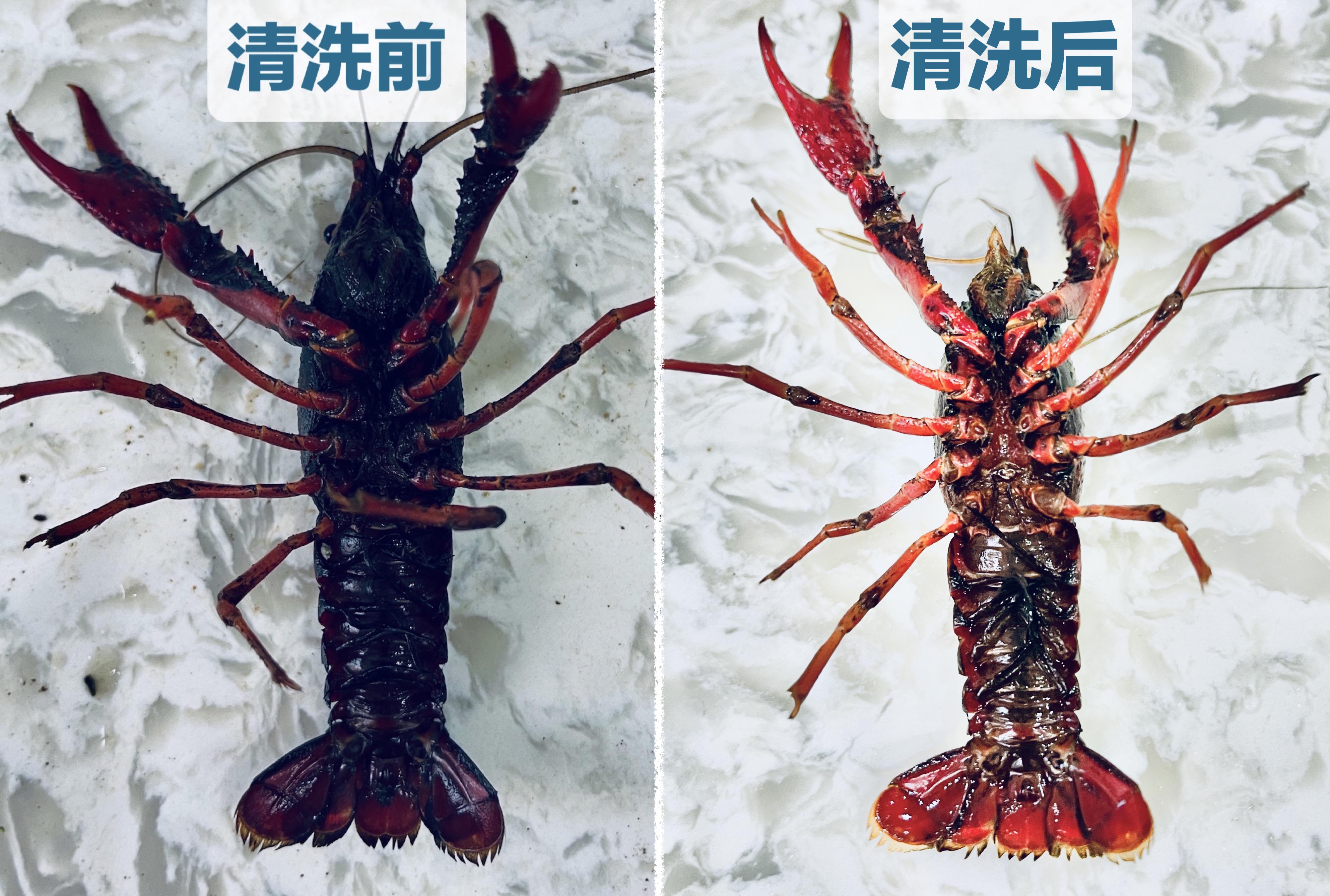 水槽洗碗机到底实不实用,不吹不黑评测视频