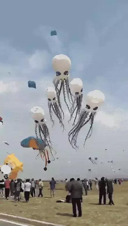 巨型埃及艳后风筝,埃及艳后风筝提线绑法