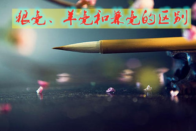 毛笔狼毫与羊毫兼毫区别,毛笔中的狼毫兼羊毫代表什么