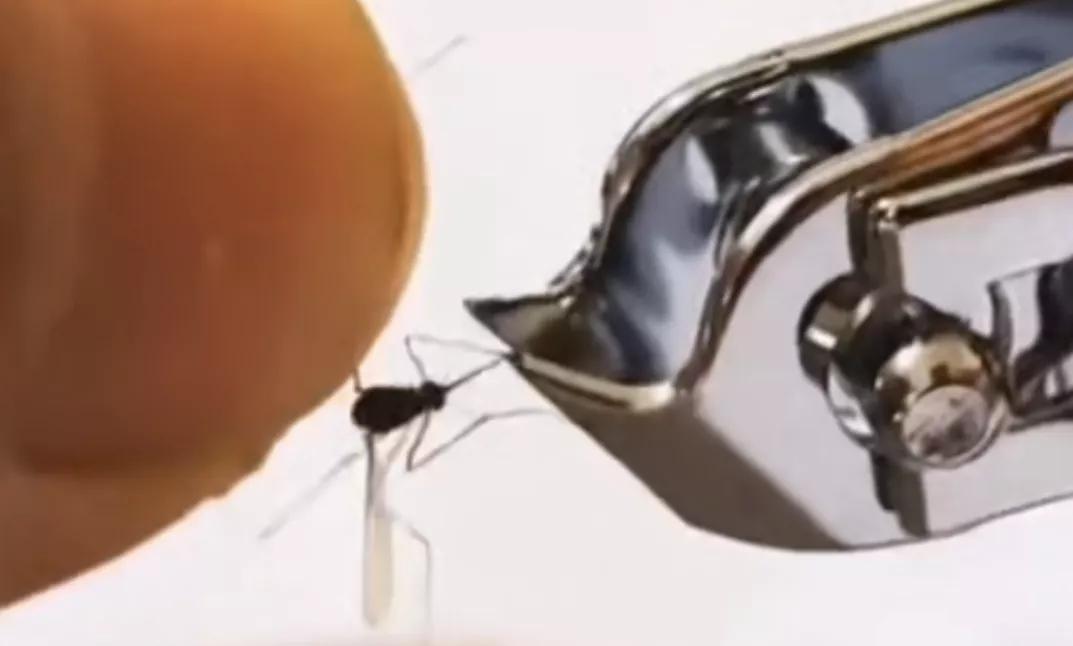 消灭蚊子的最新研究,利用各种手段消灭蚊子的神器