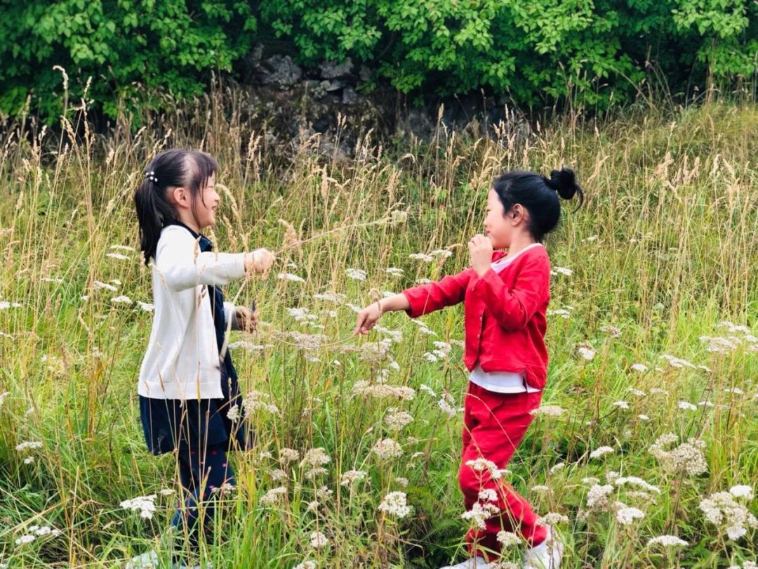 学无所成的方法,学不学会无所谓