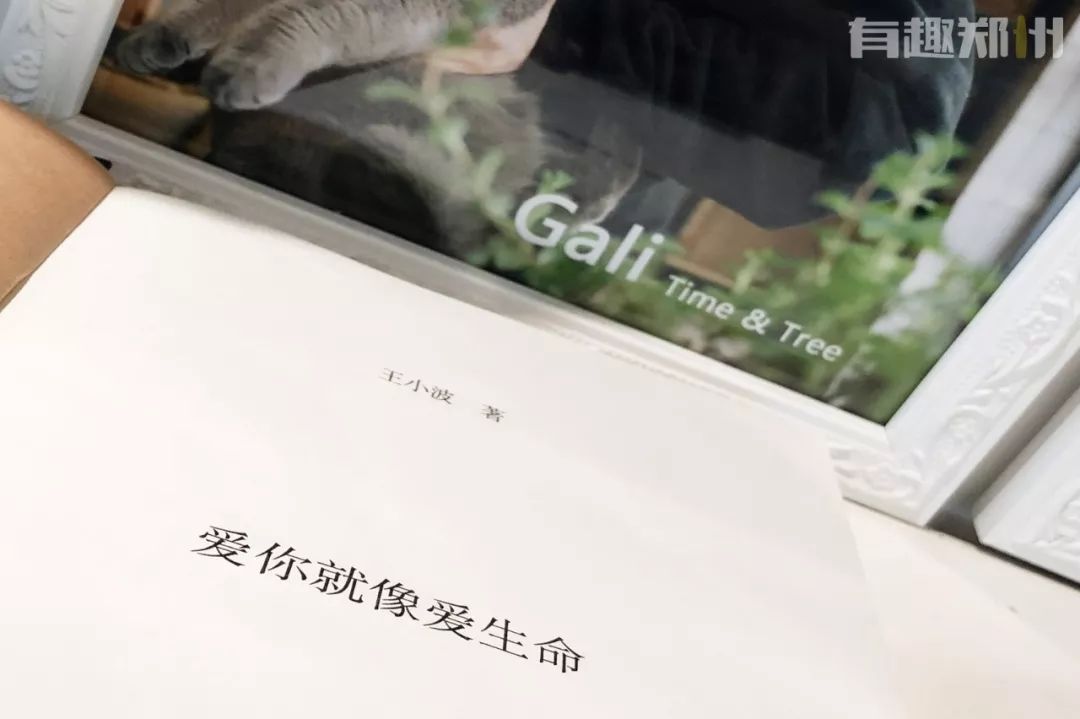 2024年创意好玩日历台历,元旦有趣的台历