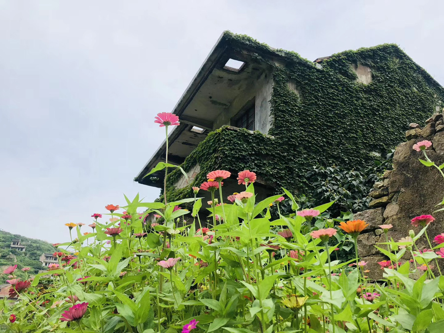 枸杞岛海岛旅游,美丽的枸杞岛之旅