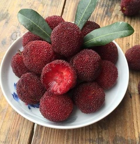 洗杨梅用面粉还是用盐,盐水泡杨梅虫子为什么会爬出来