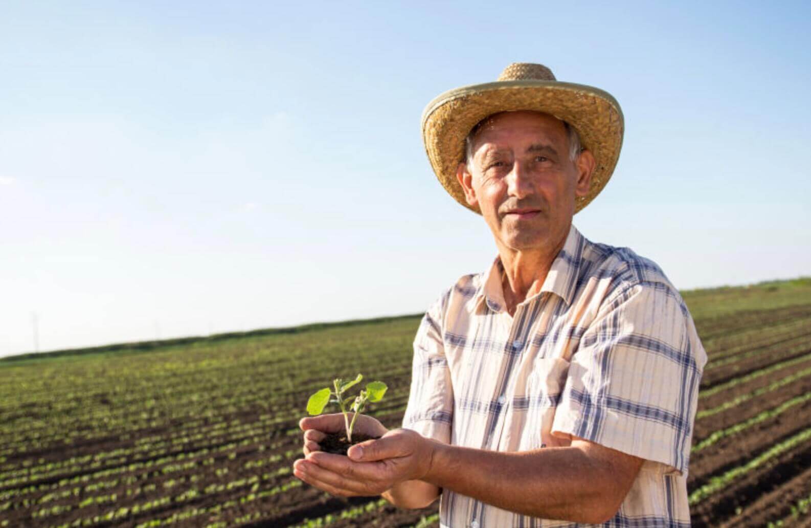 日本税目,日本县民税