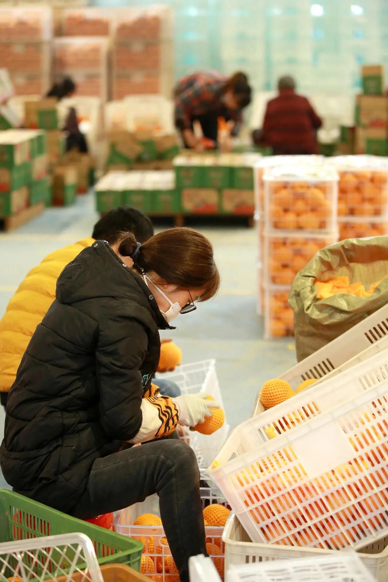 他们，跑赢了疫情！