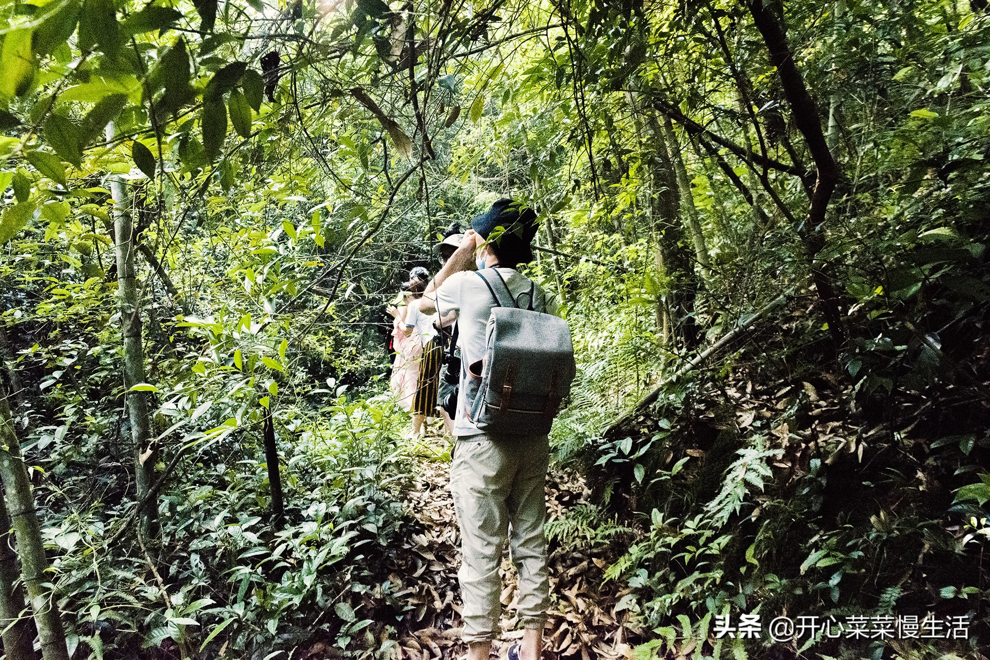 江西省赣州全南,江西省赣州市全南县