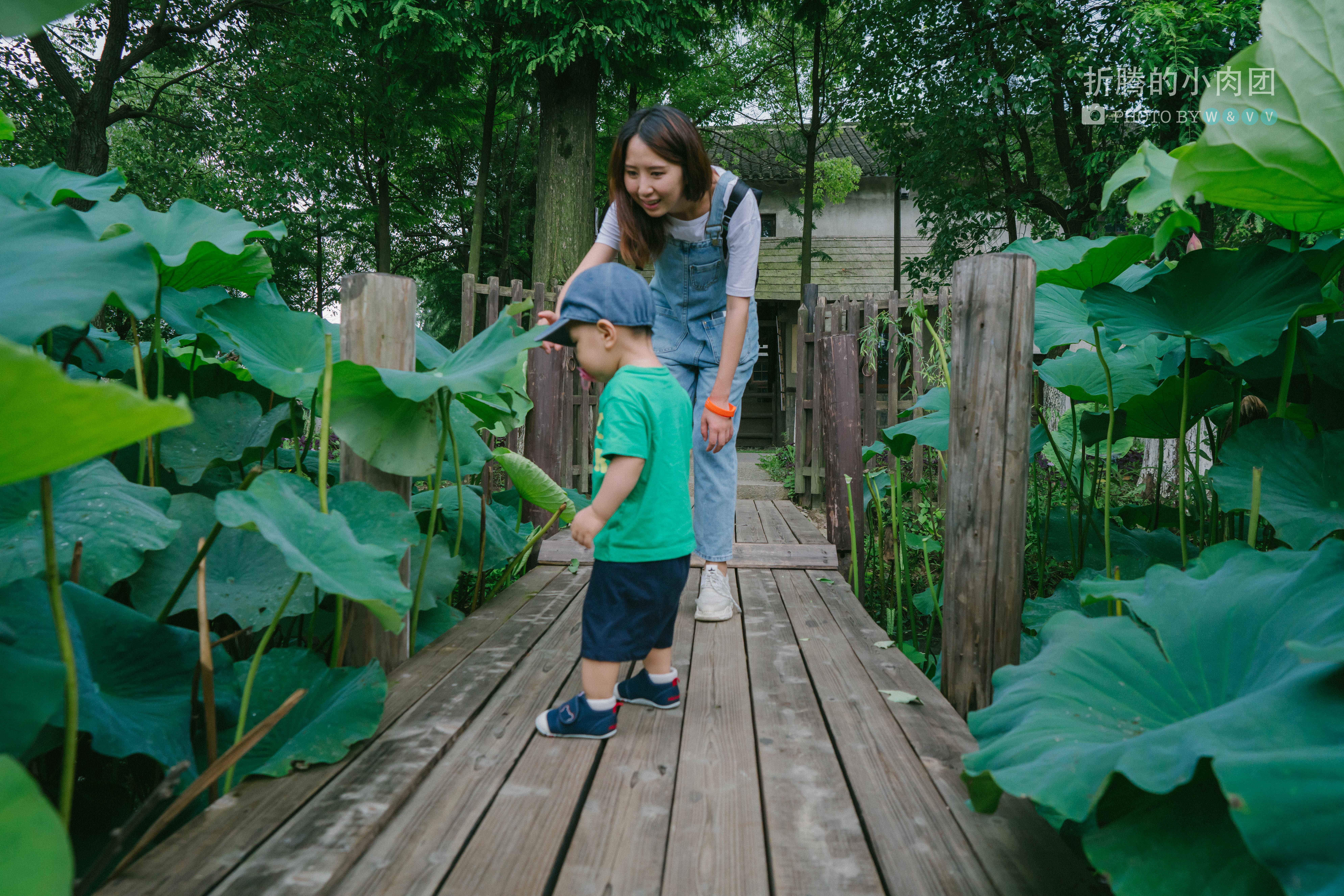 乌村亲子游全攻略,乌村亲子游攻略