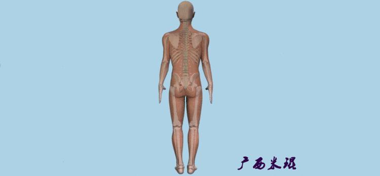 广西骨科医生米琨最新信息,米琨广西骨科什么水平