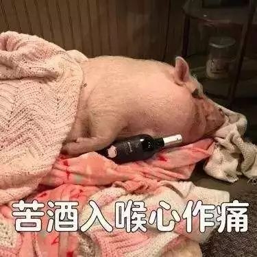 对不起，这些宠物羊奶粉不配在铲屎官心中有姓名