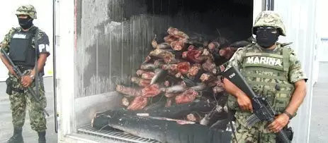 吃保健品养生?当心这种“*麻大**鱼油胶囊”,可能让你染上“毒瘾”!