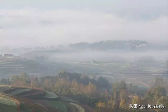 摄影一定要后期处理吗,摄影后期有哪些步骤