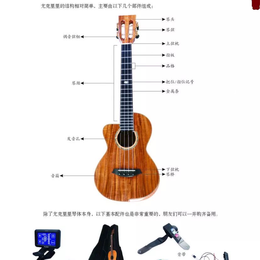 干货新人容易进的十大误区,尤克里里弹唱和指弹选购