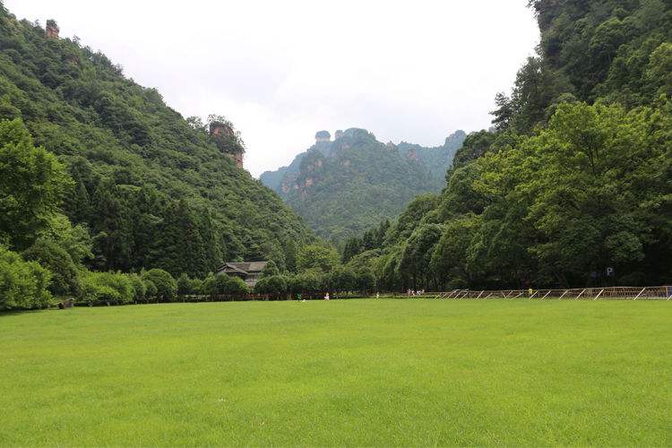 张家界旅拍攻略_张家界婚纱摄影好地方