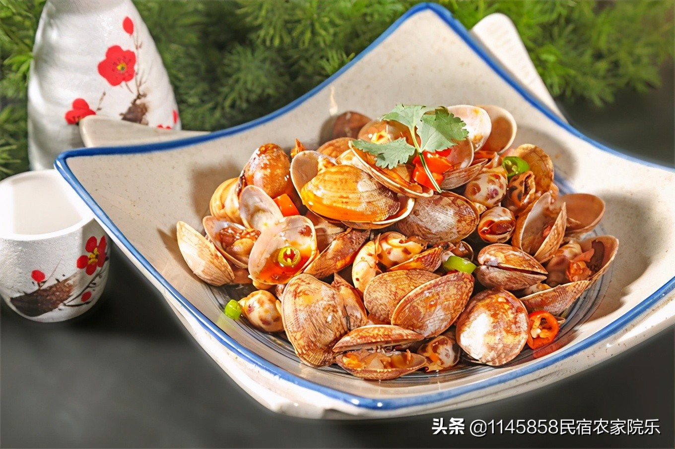 南戴河黄金海岸10人住的民宿,南戴河两室一厅民宿推荐