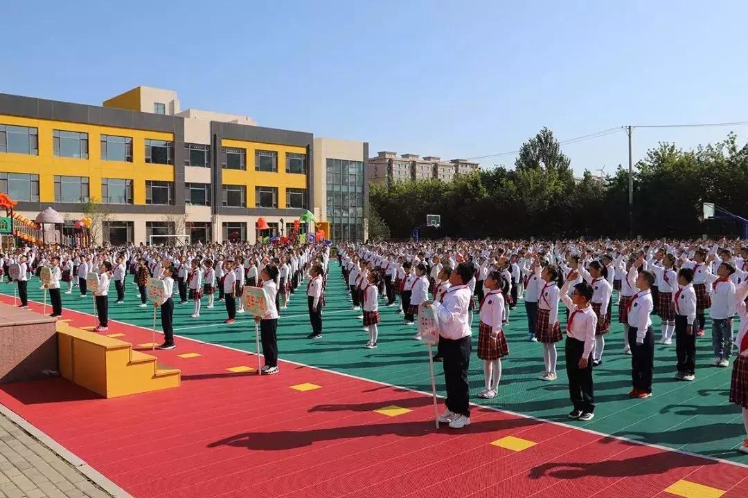 新区好学校,新区好的小学