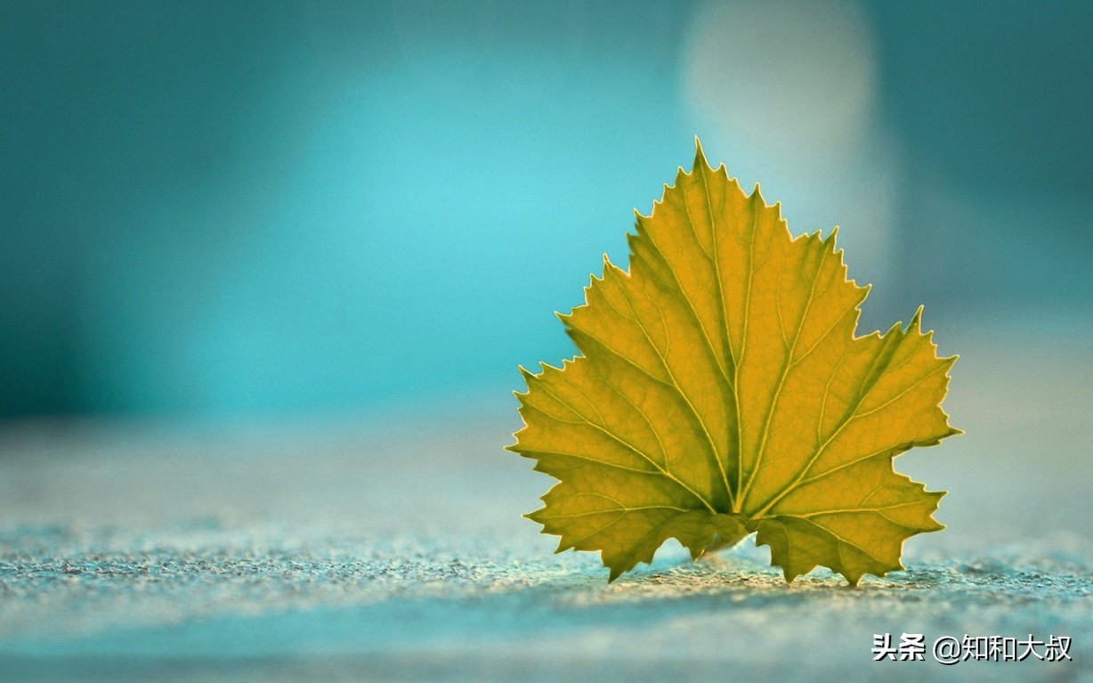 一个被别人瞧不起的人该怎么办,被人瞧不起时如何做好三件事