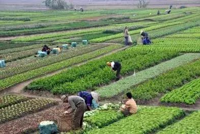 江苏最美乡村民宿,特色民宿乡村旅游