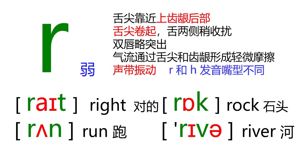 48个音标全套卡片作用,英语音标卡片48个正确发音嘴型