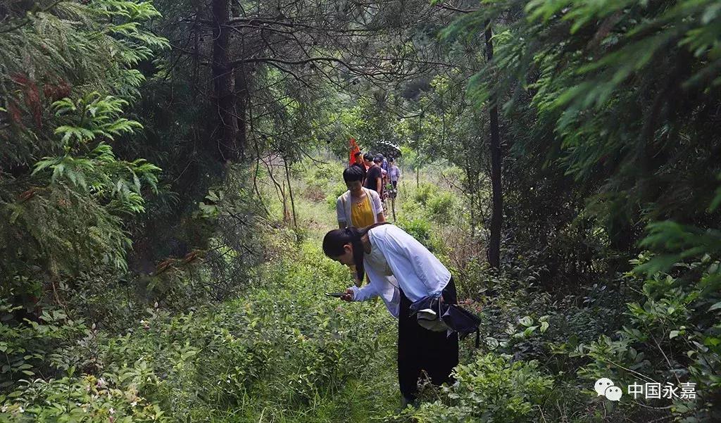 永嘉第一高山在哪里,永嘉楠溪江哪个景点最值得去