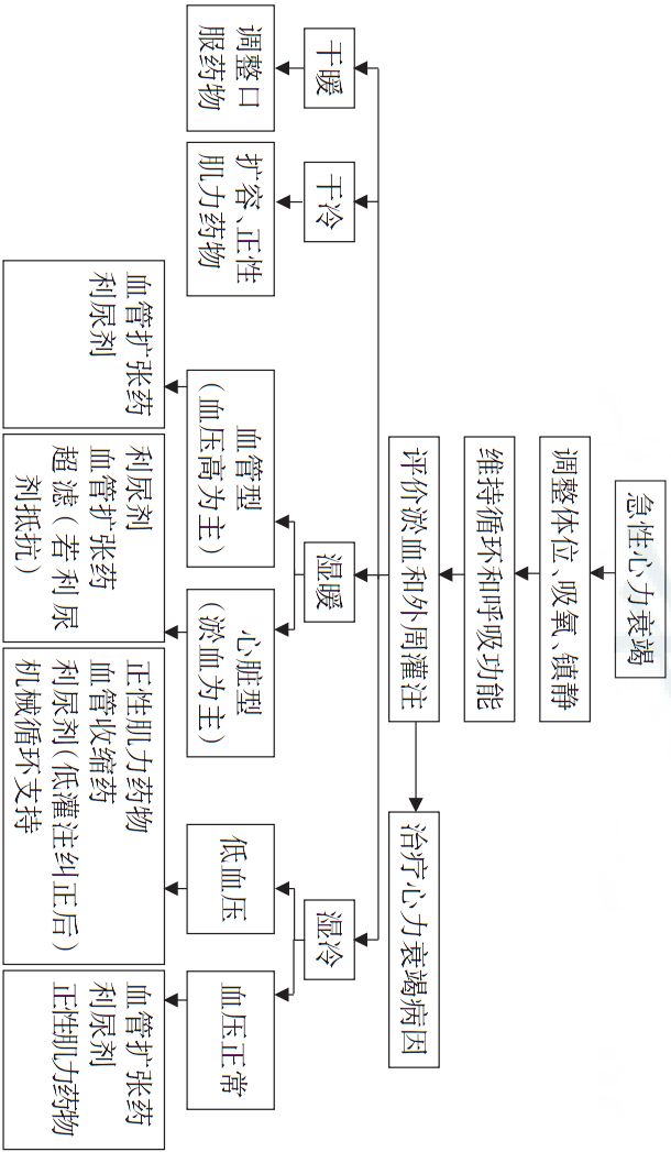2018心力衰竭诊断与治疗指南解读,中国心力衰竭诊断与治疗指南2019