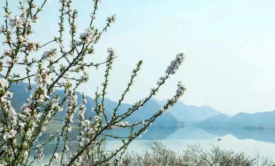 五一旅游如何去长白山,白山市4天旅游攻略