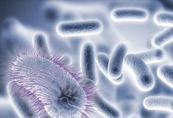 油腻脂溢性脱发,脂溢性脱发怎么抑制出油