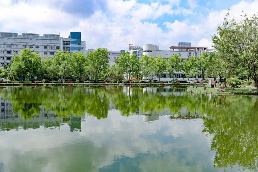 广东有哪些公办专科院校及录取线,广东2021专科390分能上什么大学