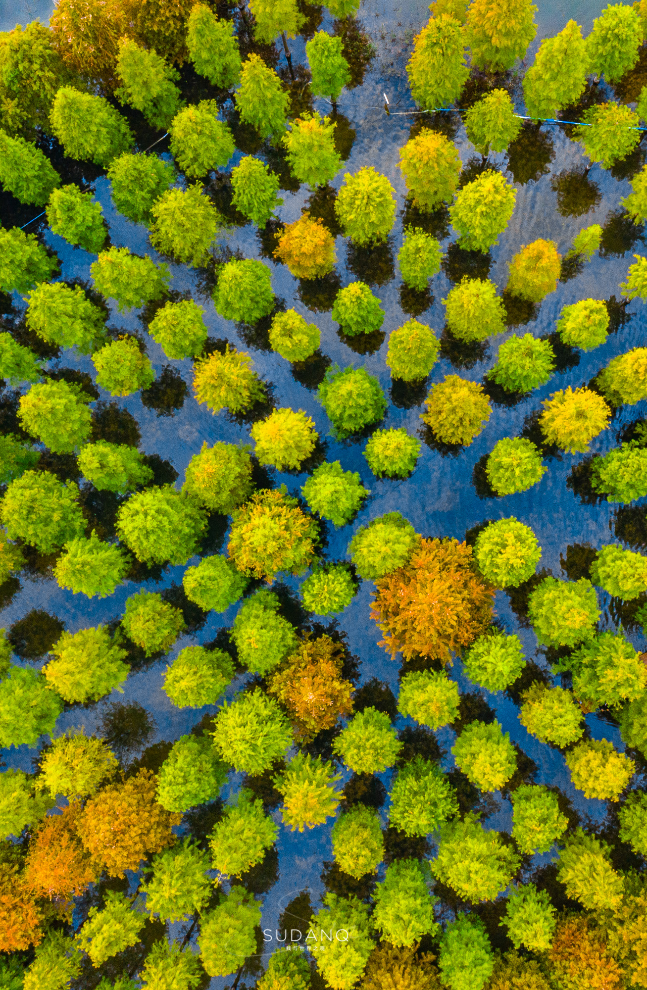 江苏泗洪的风景,江苏的苏南和苏北有什么区别