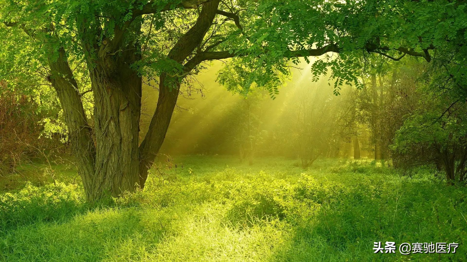 乘风破浪的护士小姐姐们,乘风破浪护士
