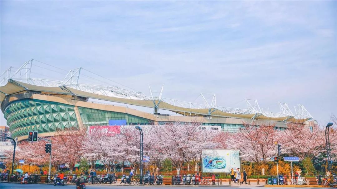 有一种记忆叫永远的回忆,有一种记忆叫失忆