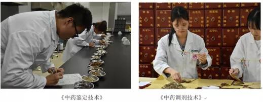 这所院校的省级品牌专业太棒了!期望成为中药学人才的小伙伴冲鸭