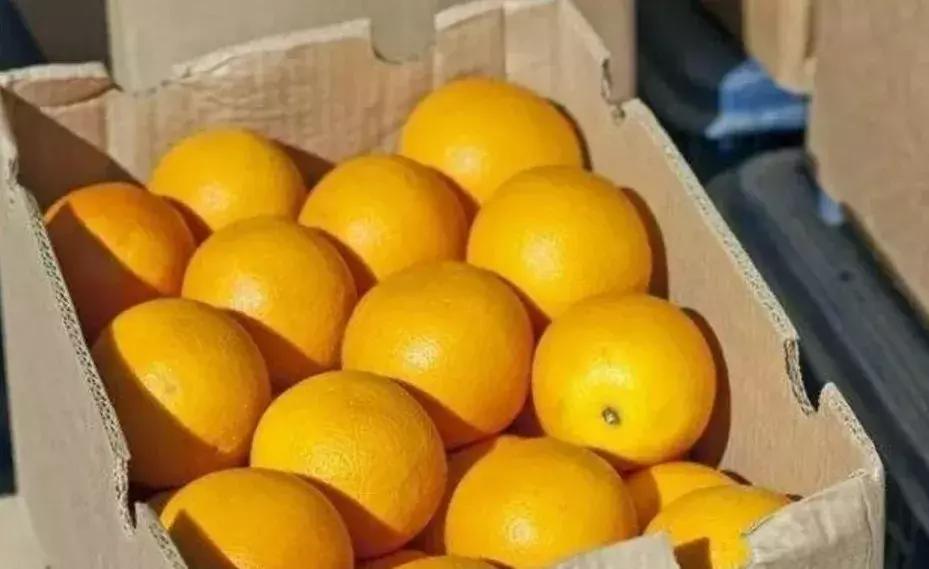 水果运输包装需注意什么,水果发快递包装规范