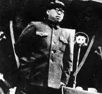 他是开国十大元帅之一,擅长的不是打仗,去世后毛主席亲自写诗悼念