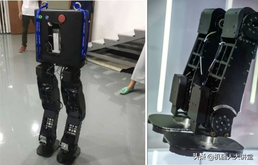 没人能拒绝熊猫的诱惑,没有人能拒绝熊猫的魅力