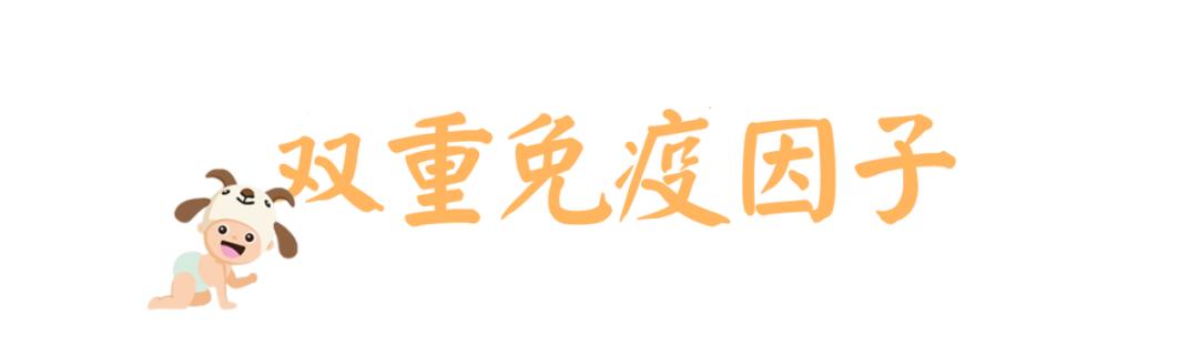 蒙臻婴幼儿羊奶粉配方,典极儿童羊奶粉价格